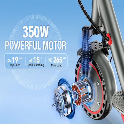 350W 10.5Ah Foldable Electric Scooter – Popular Adult E-Scooter 9 Inch 350W 10.5Ah Foldable Electric Scooter – Popular Adult E-Scooter 9 Inch