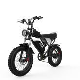 1000W 48V Fat Tire Electric Bike – 20 Inch Off-Road Mountain Ebike