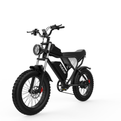 1000W 48V Fat Tire Electric Bike – 20 Inch Off-Road Mountain Ebike