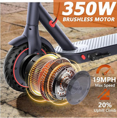 LP60 Electric Scooter High Speed Foldable E-Scooter 350W Motor With VICONT App