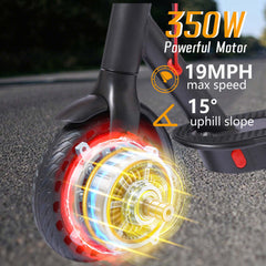 350W Foldable Electric Scooter for Adults – Smart App Control, 30KM/H Commuter E-Scooter