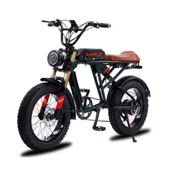 750W Fat Tire Electric Bike – 20 Inch Off-Road Mountain Ebike for Adults