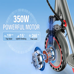 350W 10.5Ah Foldable Electric Scooter – Popular Adult E-Scooter 9 Inch