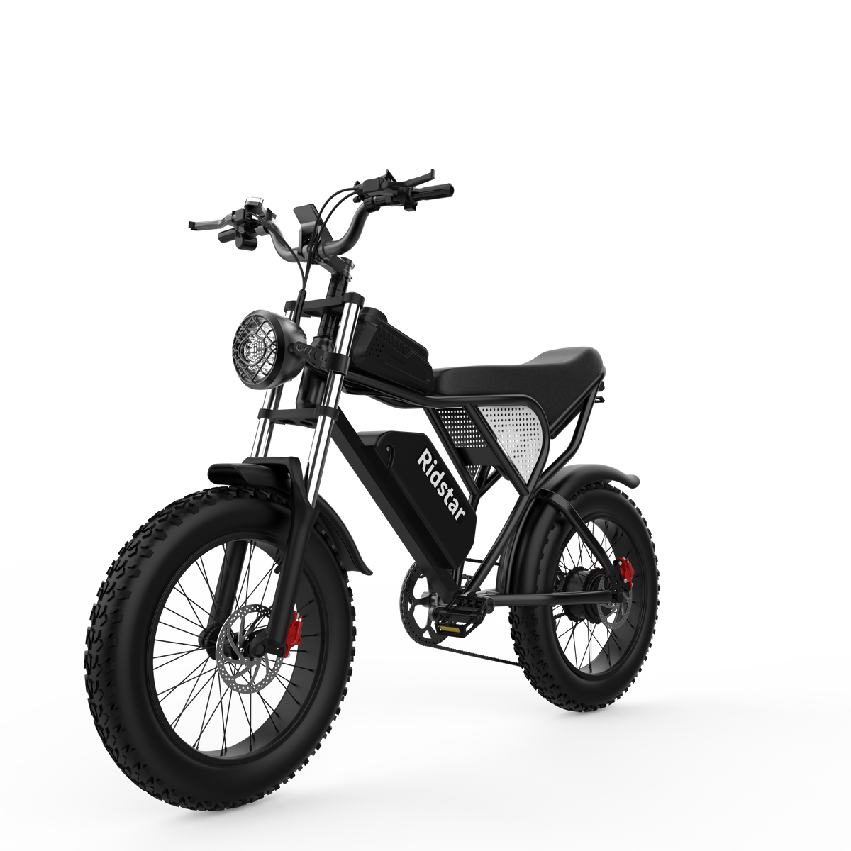 1000W 48V Fat Tire Electric Bike – 20 Inch Off-Road Mountain Ebike