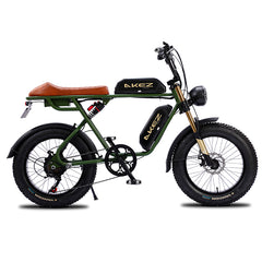 750W Fat Tire Electric Bike – 20 Inch Off-Road Mountain Ebike for Adults