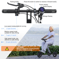 250W 3-Wheel Electric Tricycle – Foldable Mobility Scooter for Adults