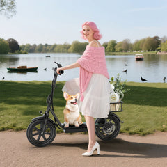 ESBS 500W 14 inch Commuter Electric Scooter 10.4Ah with Seat &Carry Basket With App