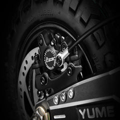 Raptor Foldable Electric Scooter 60V – Dual 250W Motor 11 Inch