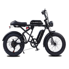 750W Fat Tire Electric Bike – 20 Inch Off-Road Mountain Ebike for Adults