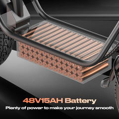 Foldable E Bike 48V 15AH Tubeless Tire Mini City Bicycle