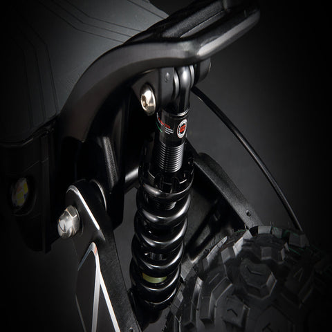 Raptor Foldable Electric Scooter 60V – Dual 250W Motor 11 Inch